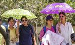 Tamil Nadu Weather: Karur Hits 40.8°C as Yellow Alert Issued for Heatwave