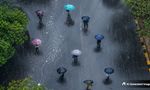 Karnataka Yellow Alert: IMD Warns Of Rain, Thunderstorms, 50 KMPH Winds In 22 Districts Including Bengaluru