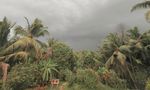 Bengaluru Weather Turns Favourable for Rain; IMD Warns of Thunderstorms Tonight