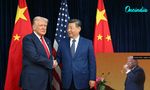 Did Donald Trump Just Break One Of His Biggest Personal Rules In China? Rare Toast With Xi Jinping Sparks Buzz
