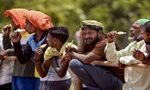 Tamil Nadu Weather: Chennai Hits 40.6°C, Records Hottest Day of the Year