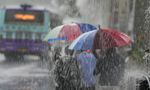 Tamil Nadu Weather: 14 Districts Today, 8 Tomorrow To Get Heavy Rains As RMC Issues Yellow Alert Till Sunday