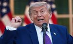 Iran Ceasefire Was 'Favour' To Pakistan: Donald Trump's Big Claim