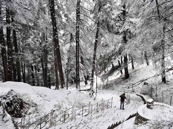 A man is seen at a snow-covered stairs
