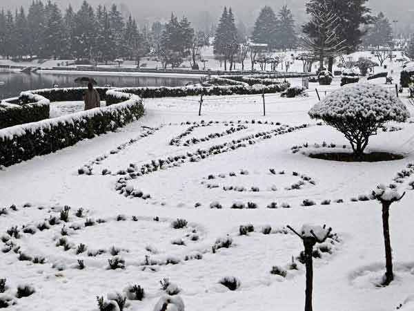 A man walks with an umbrella inside a garden 