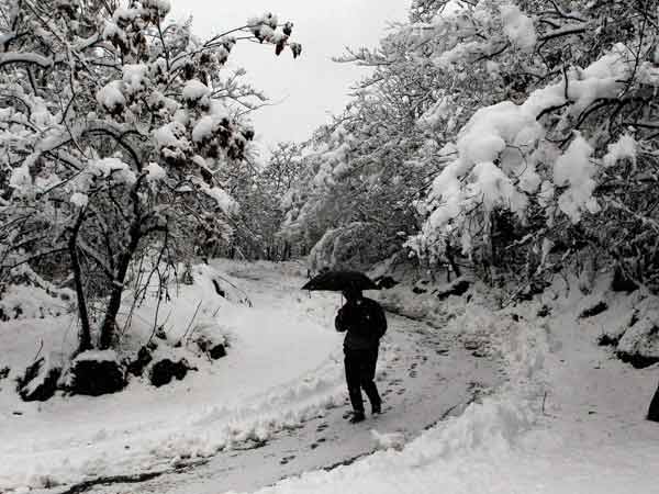 A man walks with an umbrella