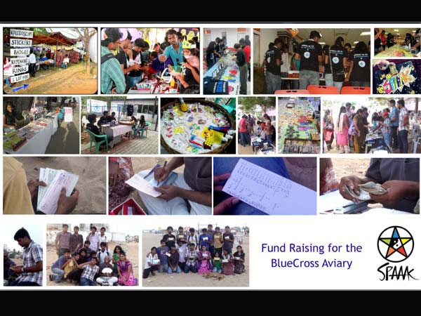 SPAAAK Journey with Angry Birds for Real Birds