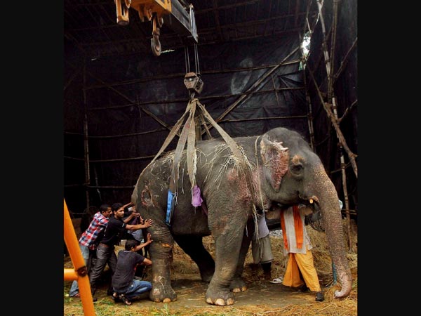 She collapsed and was unable to stand