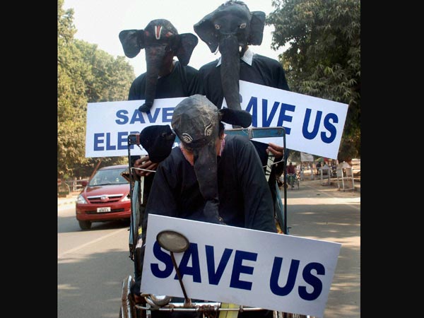 PETA activists take out a campaign