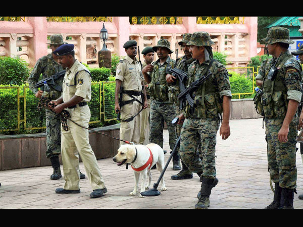 Security person with a sniffer dog 