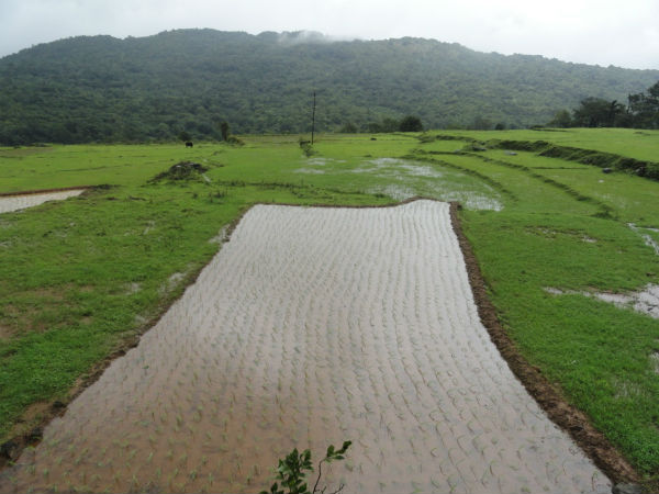 Makkandaru Grampanchayat
