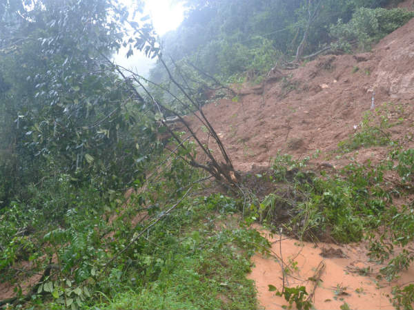 Landslides in various places