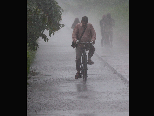 Paddling in the poodle