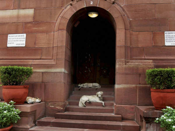 Resting in a safe shelter....