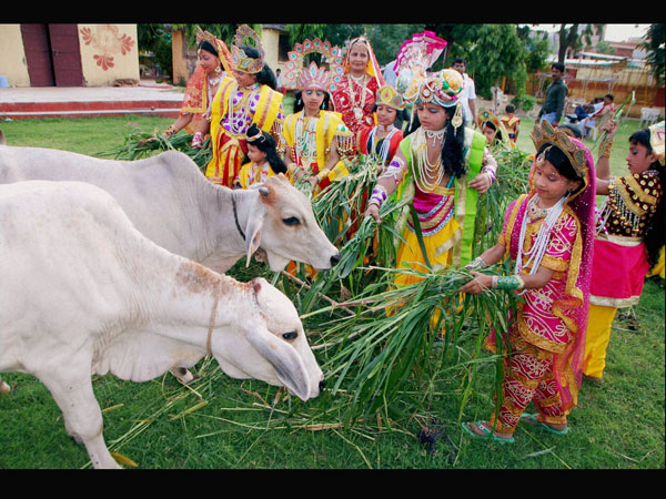 In Jodhpur In Jodhpur