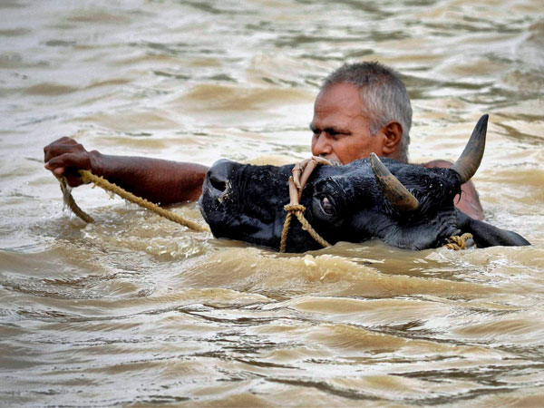 River Ganga caused flooding in many areas in Bihar