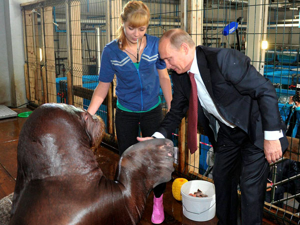 In Russky Island In Russky Island