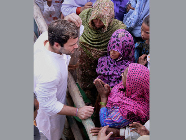 VIce President at work