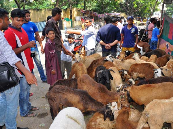 In Hyderabad In Hyderabad