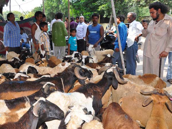 Muslims around the world celebrate first day of Eid al-Adha Muslims around the world celebrate first day of Eid al-Adha