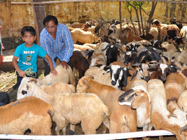 Muslims around India celebrate first day of Eid al-Adha Muslims around India celebrate first day of Eid al-Adha