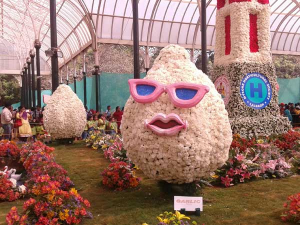 Mr Garlic greets you ! 