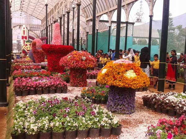 An entire stretch of visual treat