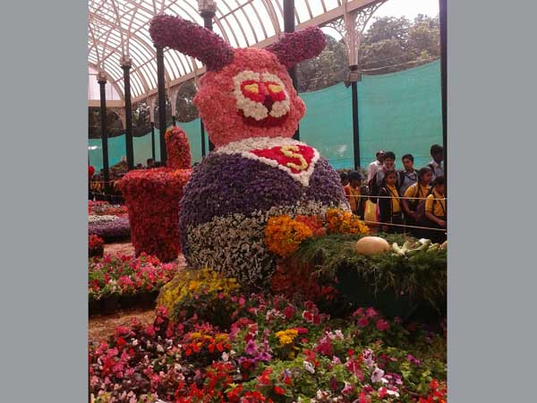 Teddy Bear where had you been!