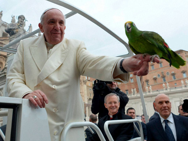 Say hello to Pope Francis' new friend 