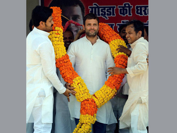 Rahul being garlanded by party workers