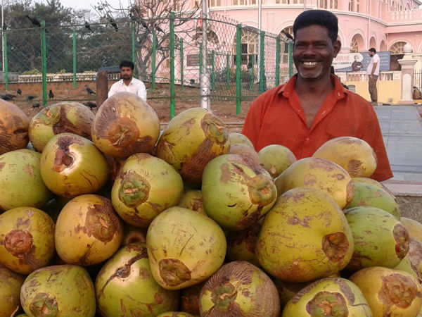 Chellappan, Coconut vendor - 48 years Chellappan, Coconut vendor - 48 years