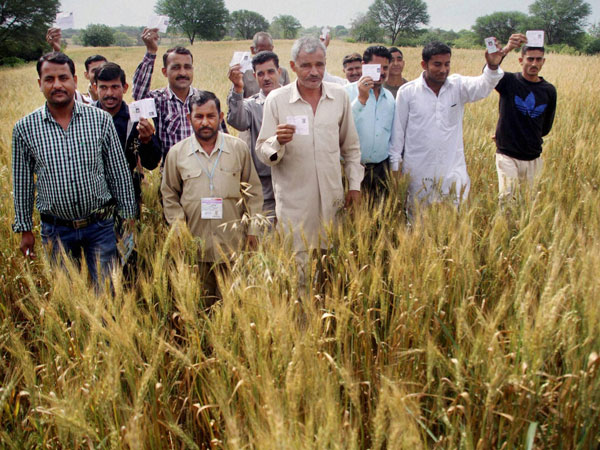 Villagers show their voter identity cards