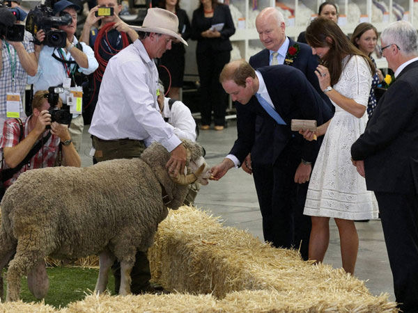 Britain's Prince William, center right, feeds a ram while his wife
