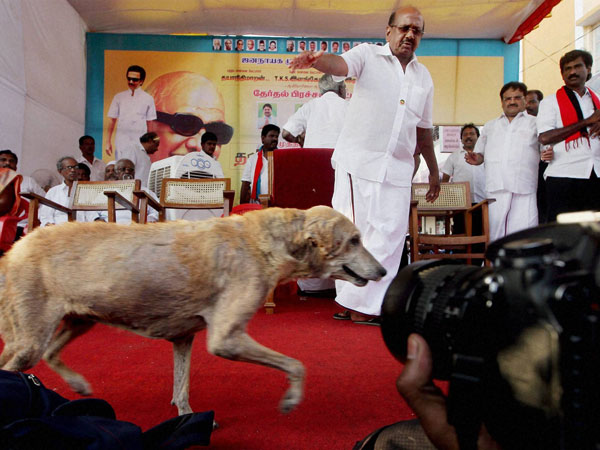 M Karunanidhi's election campaign rally in Chennai