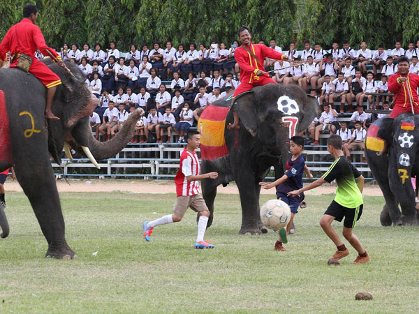 Thai youths fight for the ball with elephants 