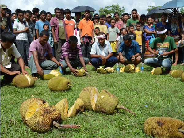 A jackfruit eating competition underway on the Day -1