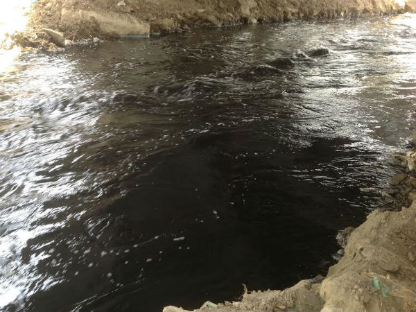 Black waters of Yamuna