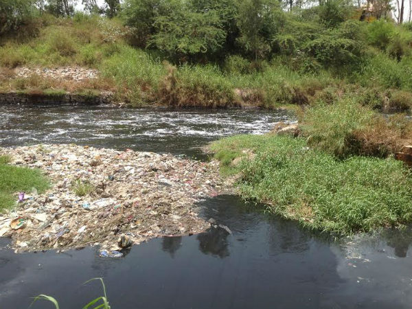 Black waters of Yamuna