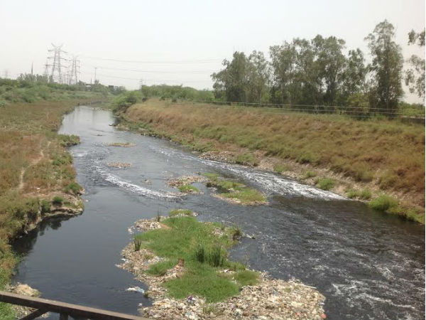 Black waters of Yamuna