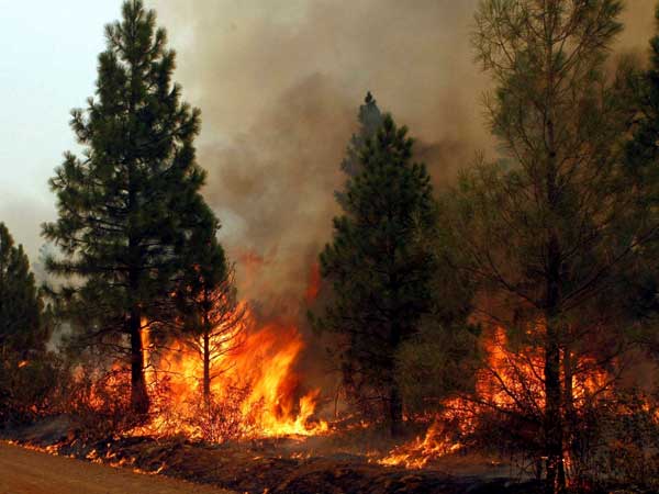 Fire rages in California 