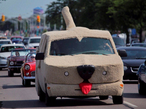 Who's dumb and who's dumber? 