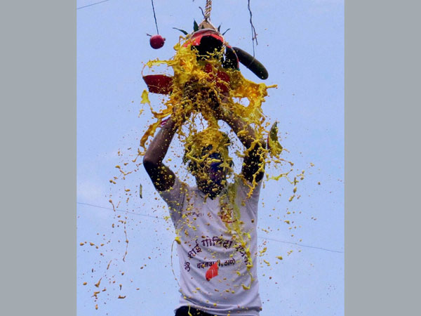 A 'Govinda' breaking 'Dahi-Handi' during Janmashtami celebrations