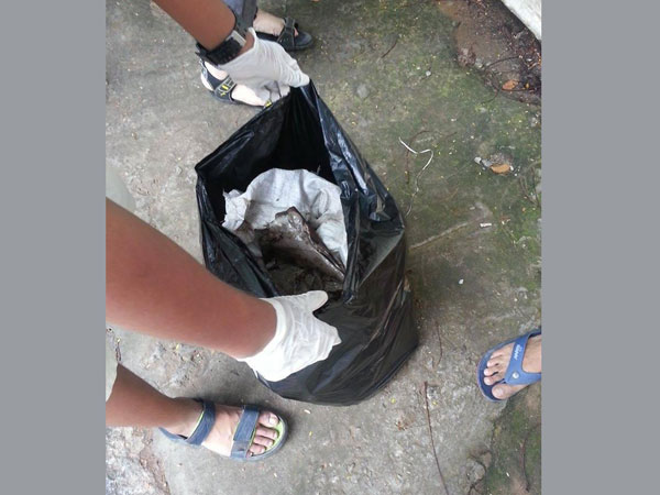 Youth take up Clean India Challenge