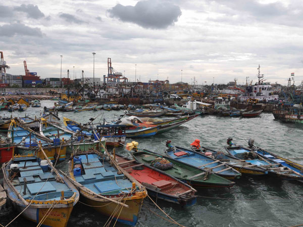 Hudhud kills 5 in AP