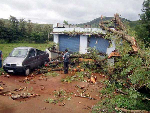 A man looks at a car damaged by uprooted tree 