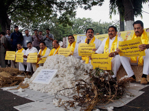 Telangana TDP MLAs staging a protest with damaged crops