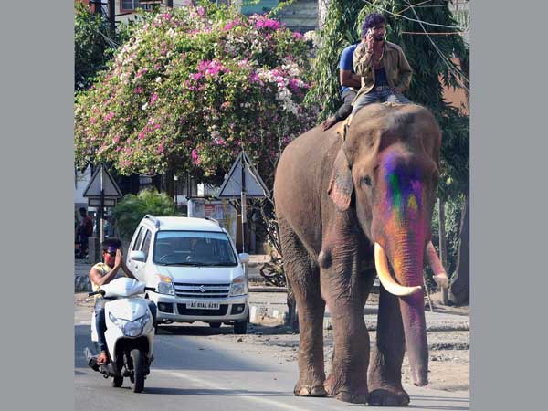 GUwahati soaks in Holi fervour