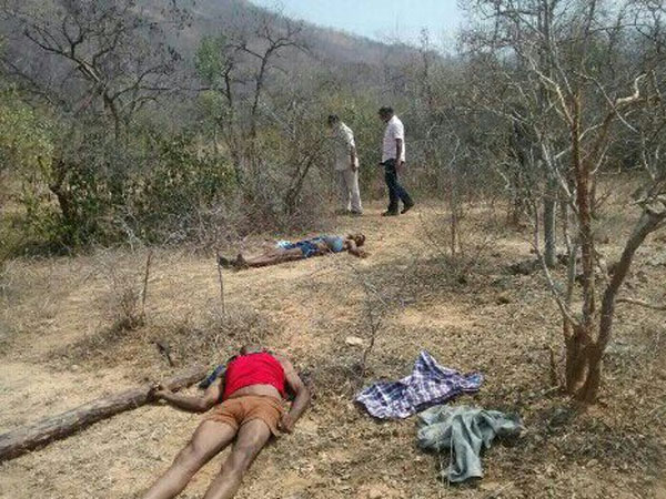 2 intl sandalwood smugglers dead