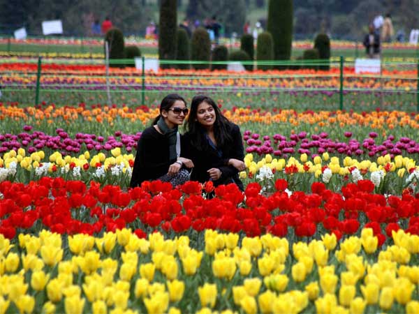 Tourists enjoy at Asia's largest Tulip Garden