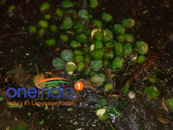 Pics: Heavy Rains lash Bengaluru